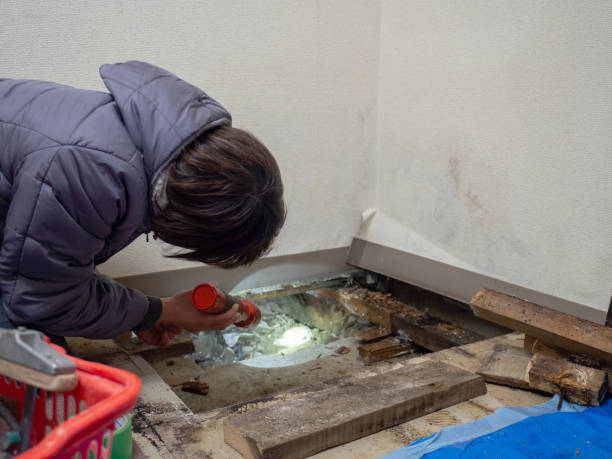 Best Water Damage & Mold Remediation  in Quartzsite, AZ