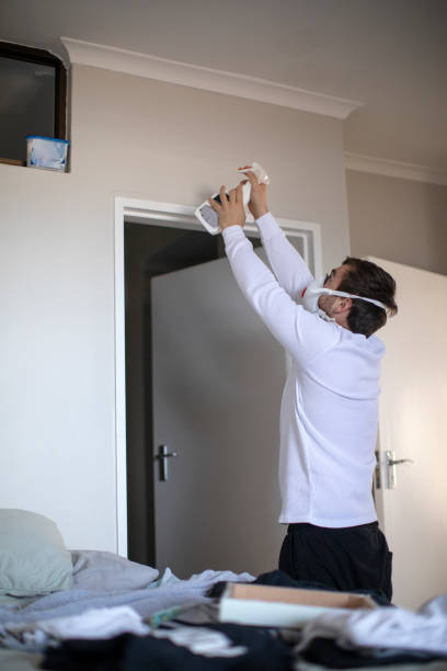 Best Basement Mold Removal  in Quartzsite, AZ